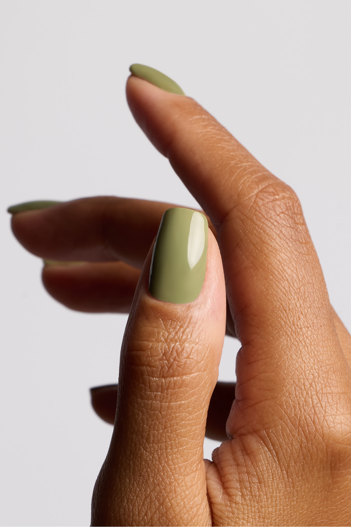 Between Seasons Collection Pistachio
